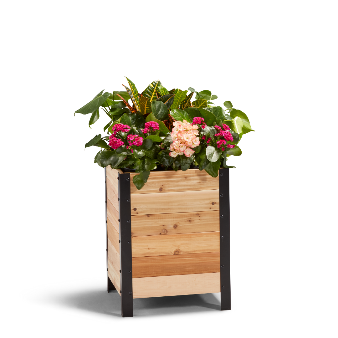 Pot Planter - 46cm x 46cm x 61cm