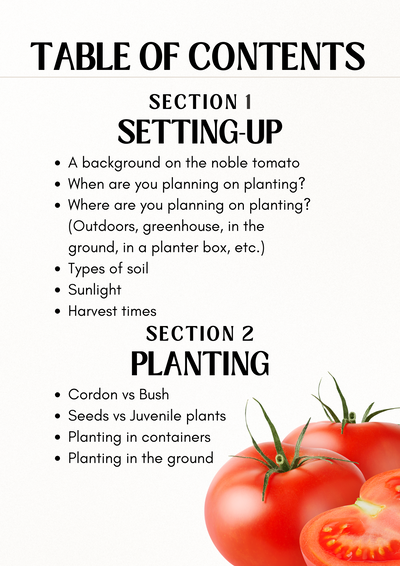 Guía de cultivo de tomates en formato electrónico (Inglés)