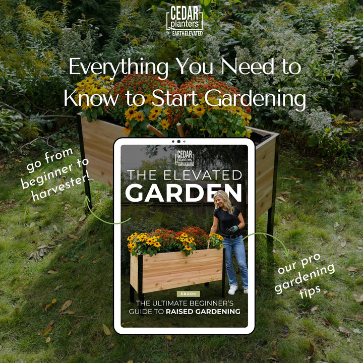 E-Book: Guía para principiantes sobre cultivo en mesas elevadas