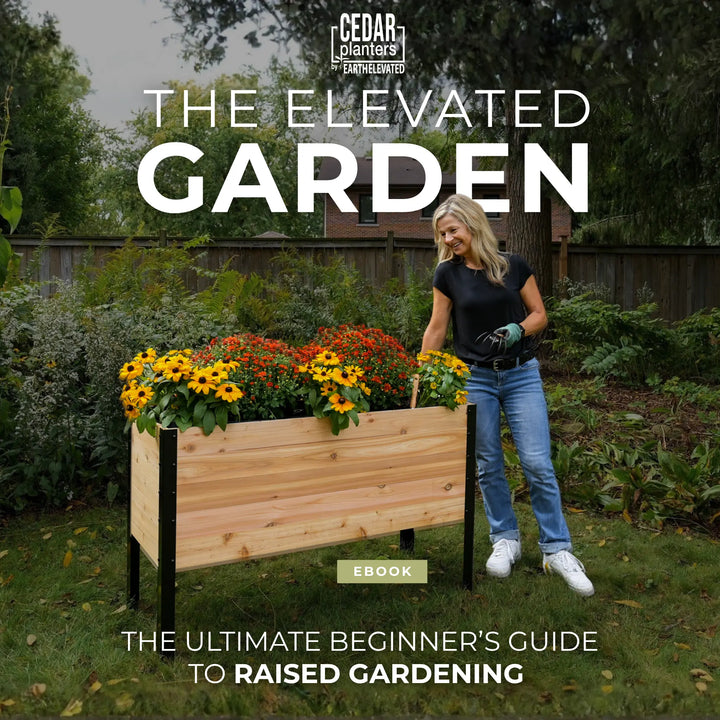 E-Book: Guía para principiantes sobre cultivo en mesas elevadas