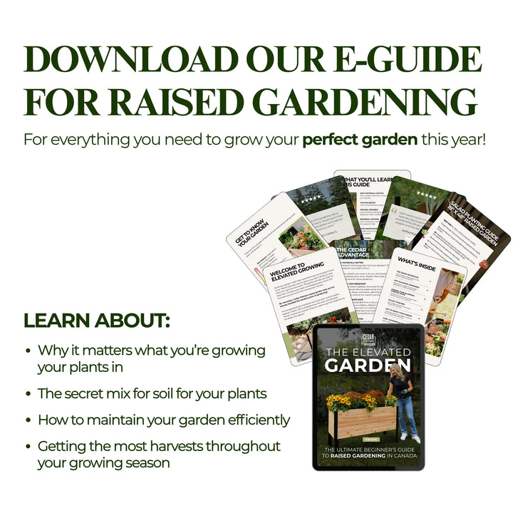 E-Book: Guía para principiantes sobre cultivo en mesas elevadas