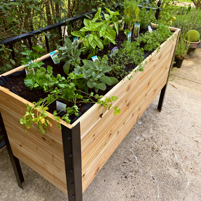 Raised Garden Bed - 46cm x 122cm x 76cm